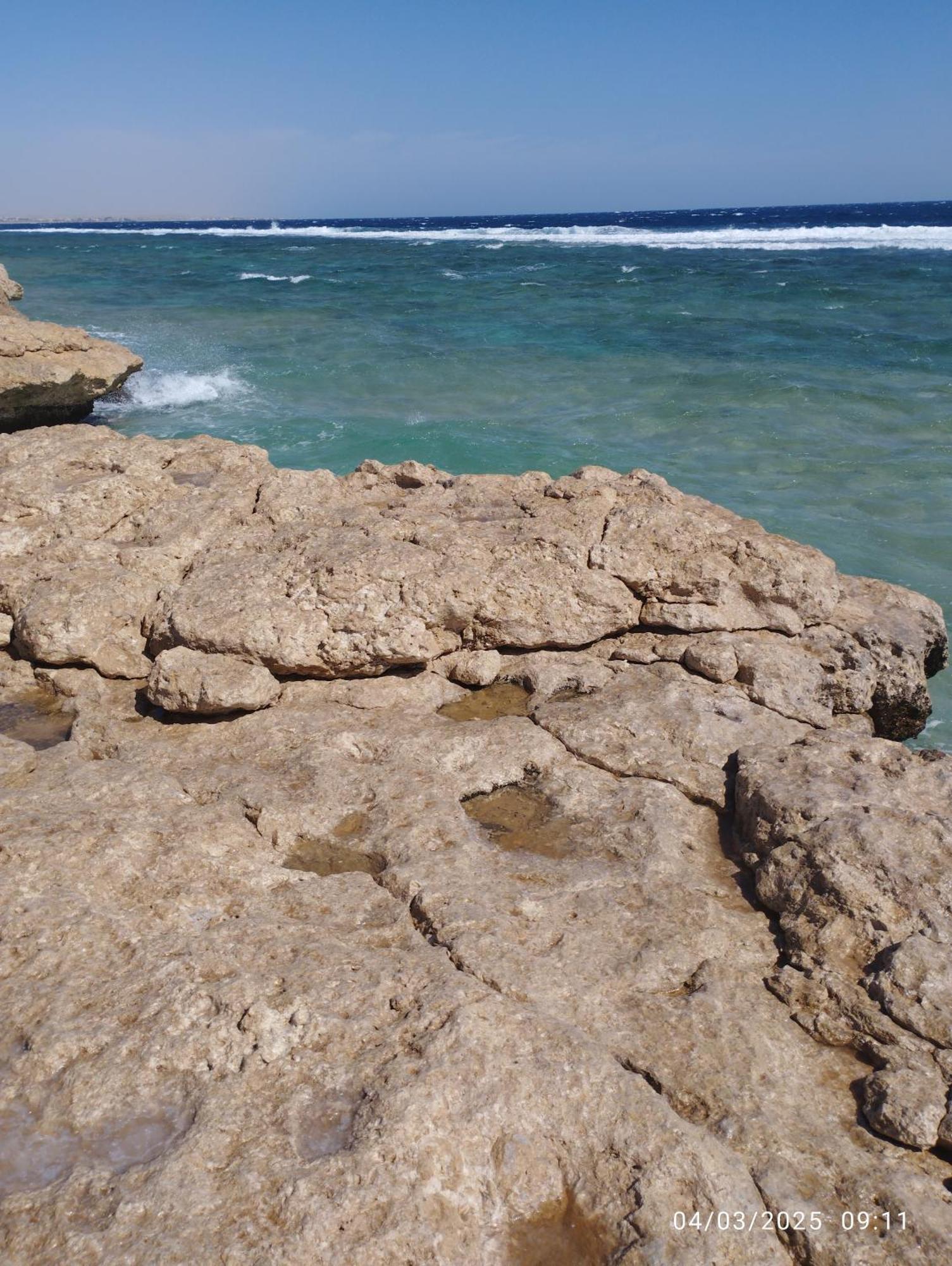 Oyster Bay Resort And Spa Marsa Alem Dış mekan fotoğraf